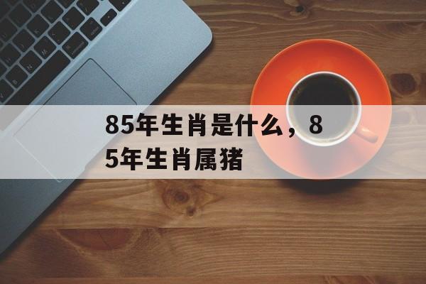 85年生肖是什么，85年生肖属猪，85年生肖属猪