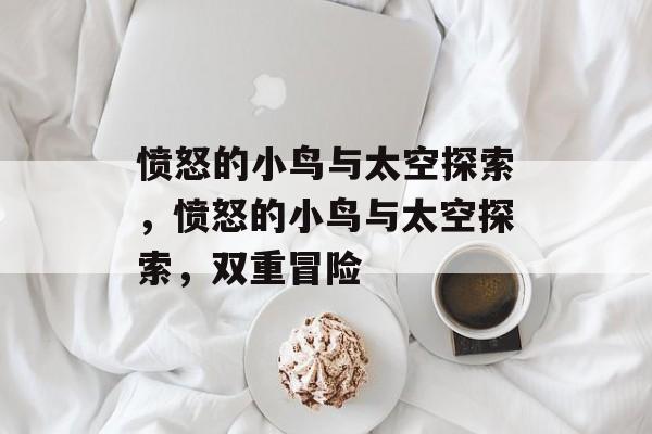 愤怒的小鸟与太空探索，愤怒的小鸟与太空探索，双重冒险，愤怒的小鸟太空探索，双重冒险之旅