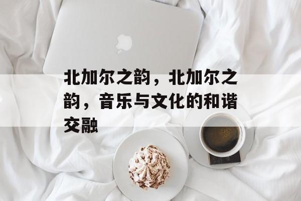 北加尔之韵，北加尔之韵，音乐与文化的和谐交融