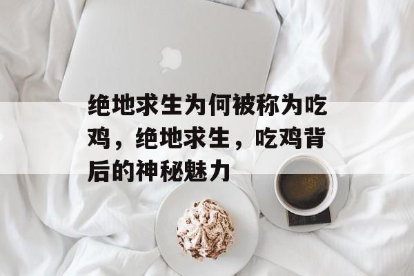 绝地求生为何被称为吃鸡，绝地求生，吃鸡背后的神秘魅力