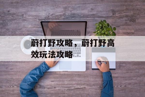 蔚打野攻略，蔚打野高效玩法攻略，蔚野区打野高效玩法攻略