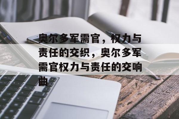 奥尔多军需官，权力与责任的交织，奥尔多军需官权力与责任的交响曲