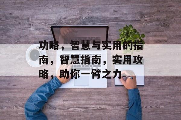 功略，智慧与实用的指南，智慧指南，实用攻略，助你一臂之力