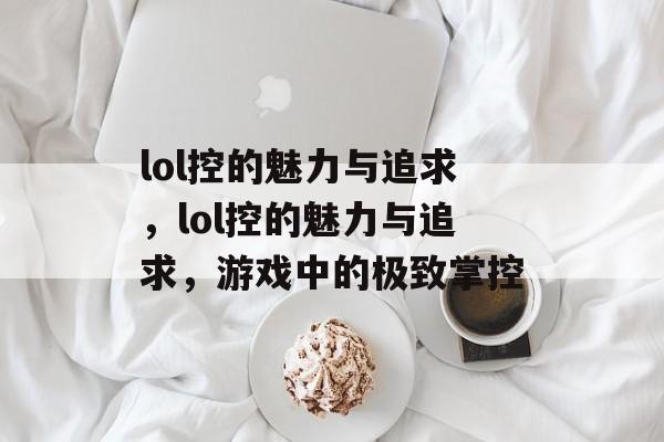 lol控的魅力与追求，lol控的魅力与追求，游戏中的极致掌控，lol控的极致追求，魅力与掌控的游戏世界