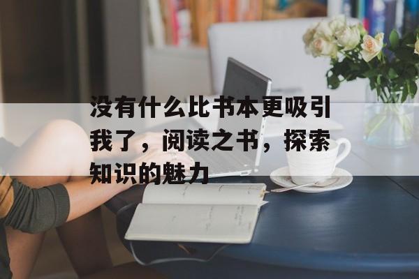 没有什么比书本更吸引我了，阅读之书，探索知识的魅力，书海探秘，阅读之书，探索知识的魅力