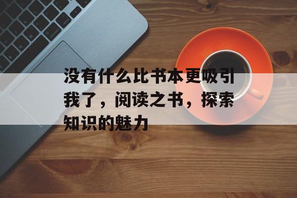 没有什么比书本更吸引我了，阅读之书，探索知识的魅力，书海探秘，阅读之书，探索知识的魅力