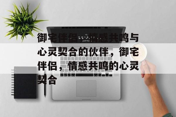 御宅伴侣，情感共鸣与心灵契合的伙伴，御宅伴侣，情感共鸣的心灵契合