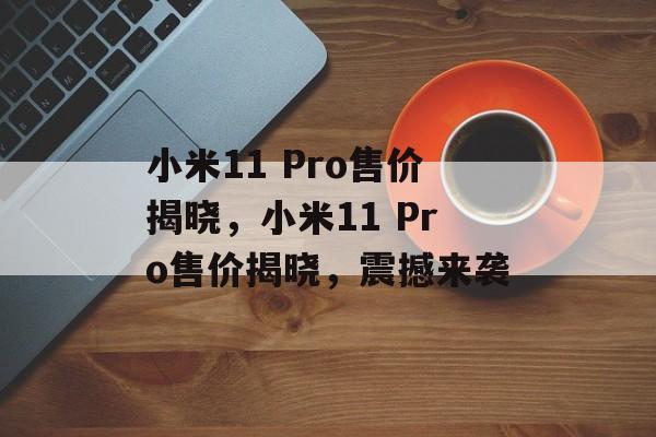 小米11 Pro售价揭晓，小米11 Pro售价揭晓，震撼来袭