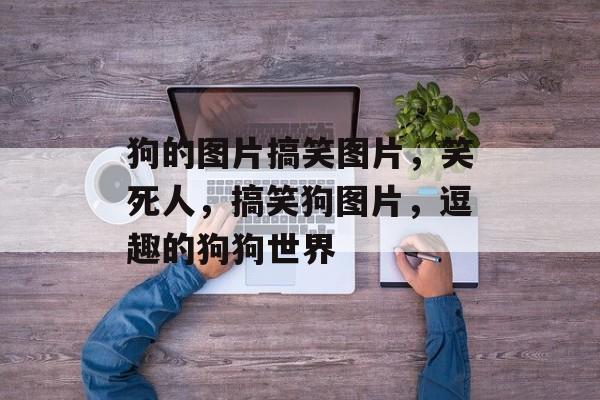 狗的图片搞笑图片，笑死人，搞笑狗图片，逗趣的狗狗世界