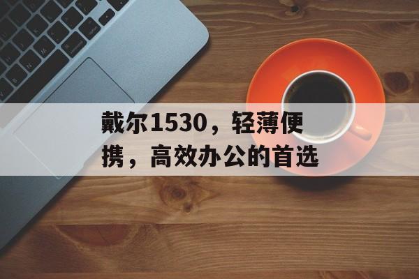 戴尔1530，轻薄便携，高效办公的首选