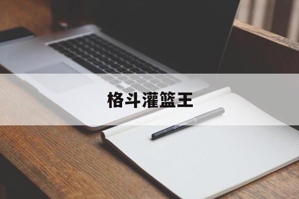 格斗灌篮王