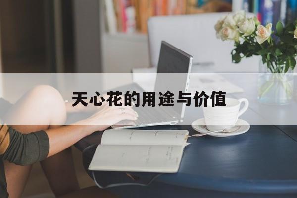 天心花的用途与价值