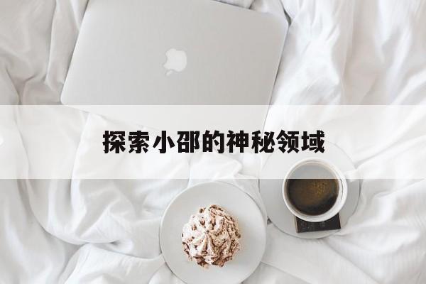 探索小邵的神秘领域