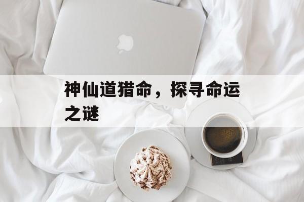 神仙道猎命，探寻命运之谜