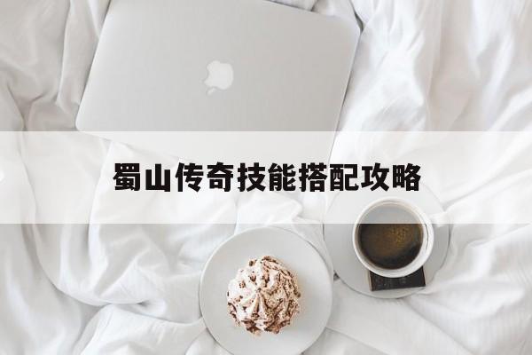 蜀山传奇技能搭配攻略