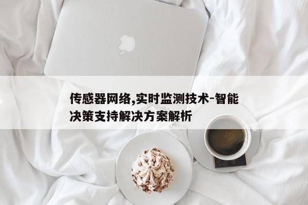传感器网络,实时监测技术-智能决策支持解决方案解析