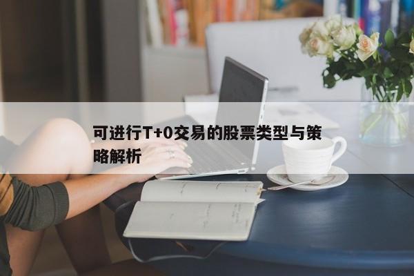可进行T+0交易的股票类型与策略解析