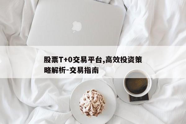 股票T+0交易平台,高效投资策略解析-交易指南