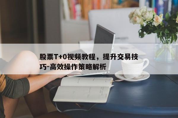 股票T+0视频教程，提升交易技巧-高效操作策略解析