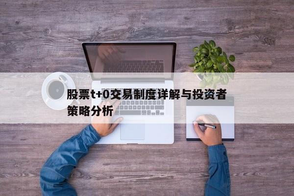 股票t+0交易制度详解与投资者策略分析