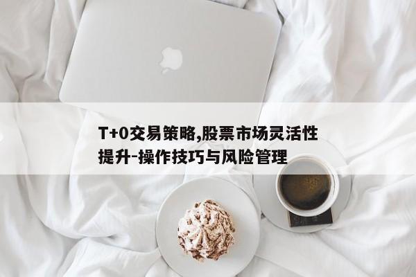 T+0交易策略,股票市场灵活性提升-操作技巧与风险管理