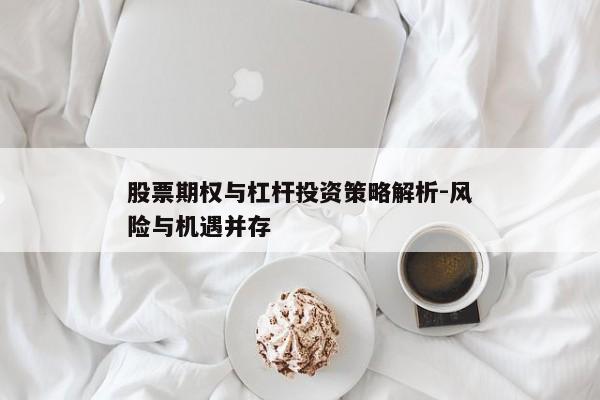 股票期权与杠杆投资策略解析-风险与机遇并存