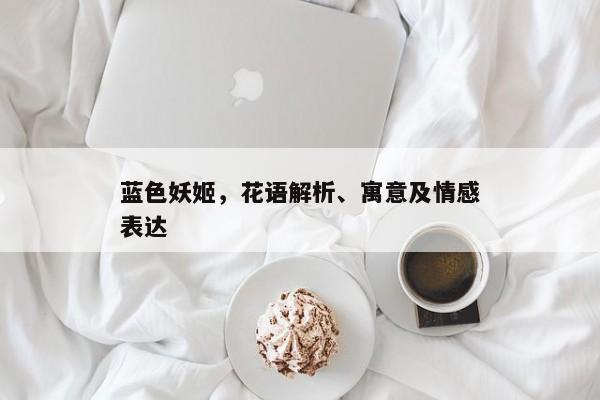 蓝色妖姬，花语解析与情感象征