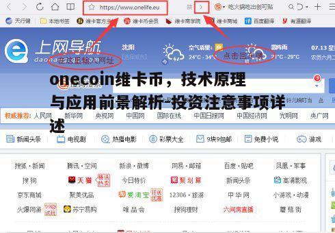 一、onecoin维卡币概述