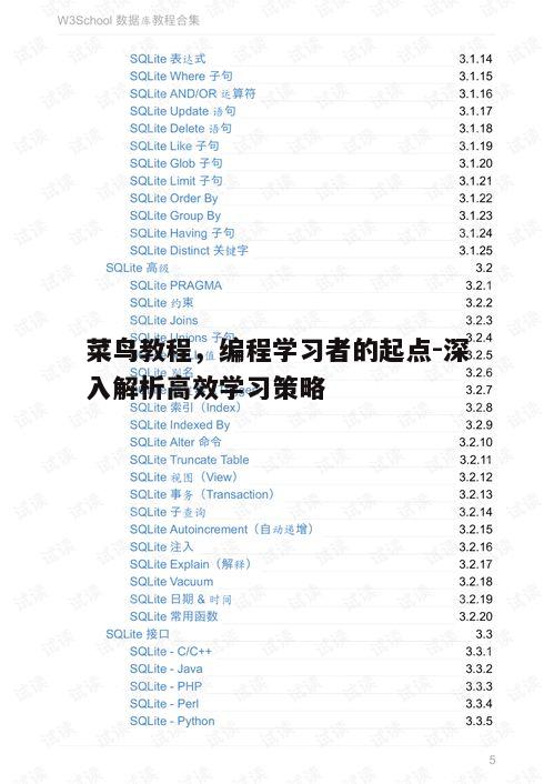 菜鸟教程，编程学习者的起点-深入解析高效学习策略