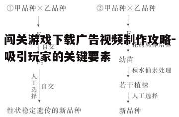 四、优化视频长度与节奏