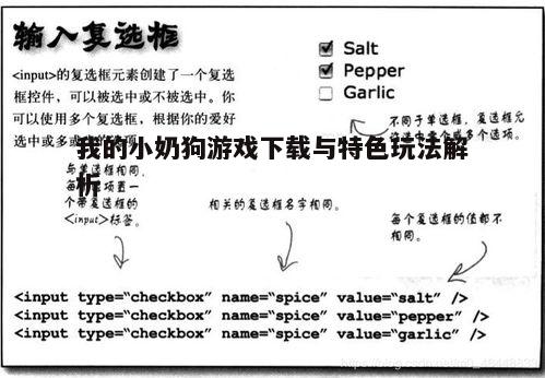 四、下载注意事项