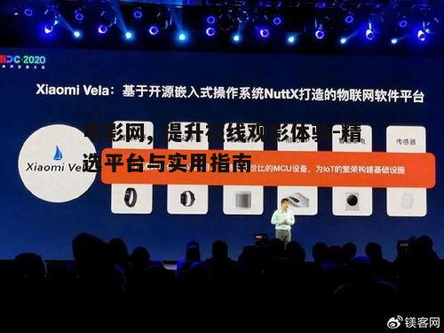 二、如何选择优质的电影网平台