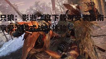 四、只狼：影逝二度的游戏优化