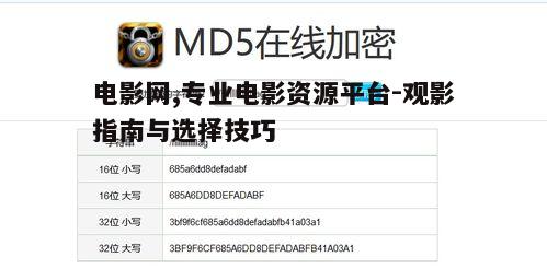 四、电影网站的会员服务