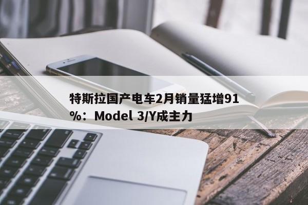 特斯拉国产电车2月销量猛增91%：Model 3/Y成主力