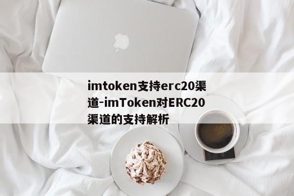 imtoken支持erc20渠道-imToken对ERC20渠道的支持解析