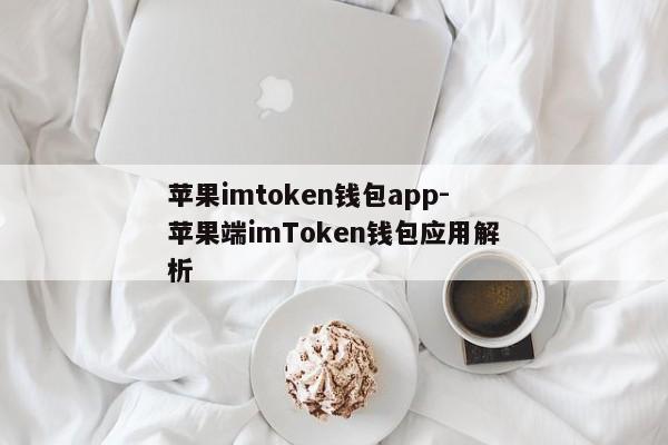 苹果imtoken钱包app-苹果端imToken钱包应用解析