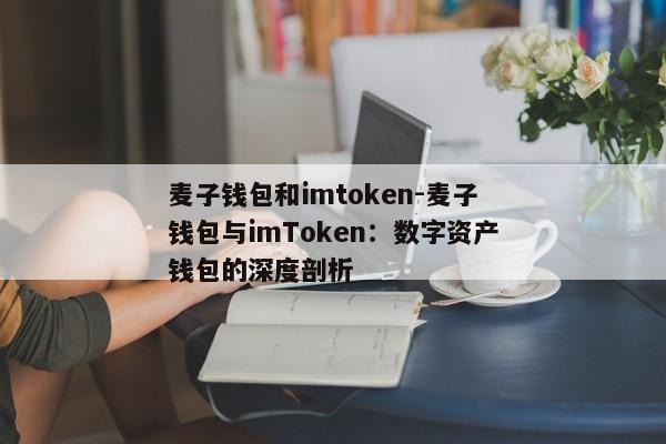 麦子钱包和imtoken-麦子钱包与imToken：数字资产钱包的深度剖析