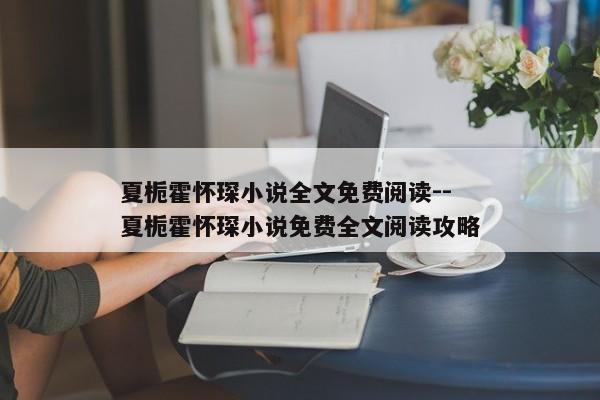 夏栀霍怀琛小说全文免费阅读--夏栀霍怀琛小说免费全文阅读攻略
