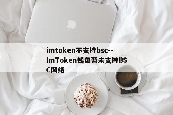imtoken不支持bsc--ImToken钱包暂未支持BSC网络