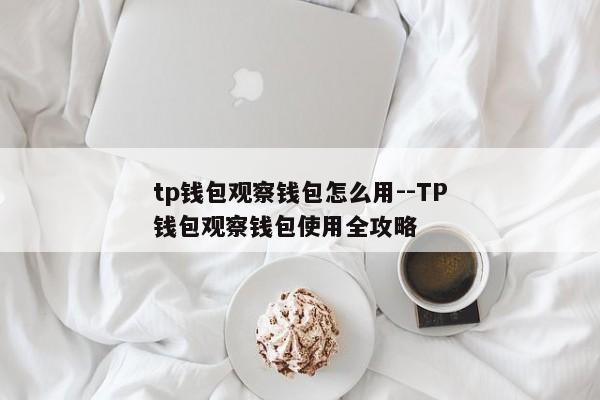 tp钱包观察钱包怎么用--TP钱包观察钱包使用全攻略