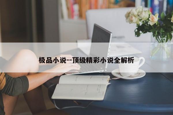 极品小说--顶级精彩小说全解析