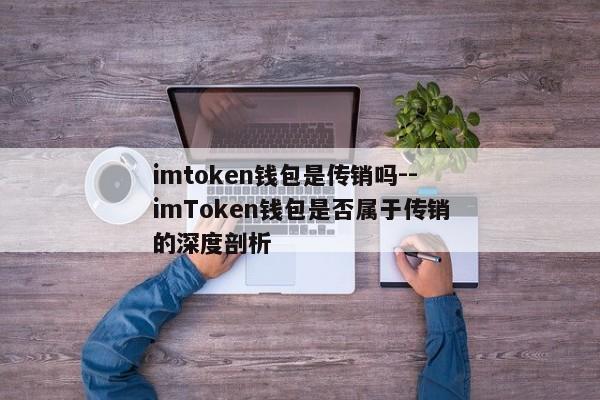 imtoken钱包是传销吗--imToken钱包是否属于传销的深度剖析