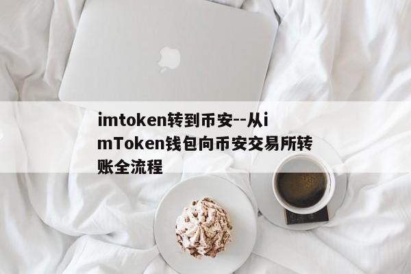 imtoken转到币安--从imToken钱包向币安交易所转账全流程